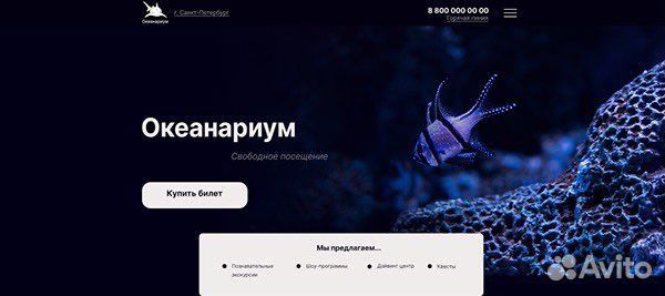 Веб дизайнер удаленно