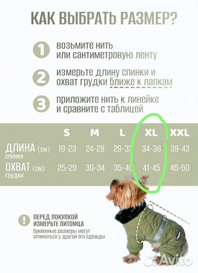 Одежда для маленьких собак зимняя
