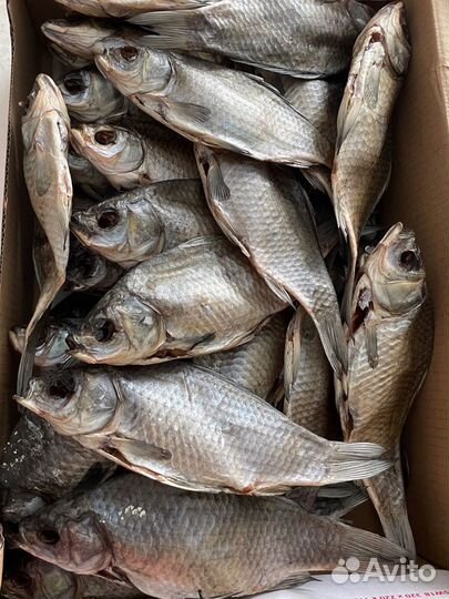 Вяленая сушеная рыба