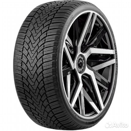 Fronway IceMaster I 205/55 R17 95H