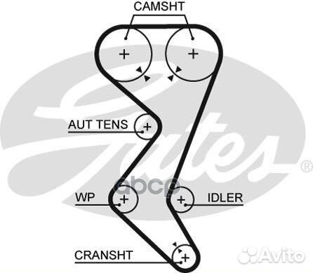 Зубчатый ремень привода грм PowerGrip 5528XS G