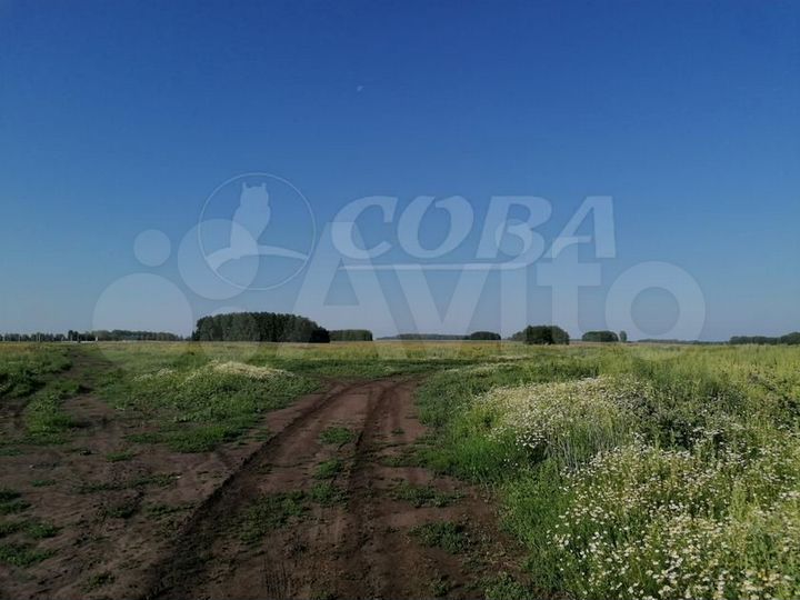 Участок 8 сот. (ИЖС)