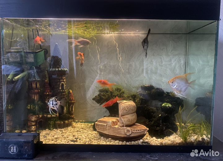 Аквариум с тумбой
