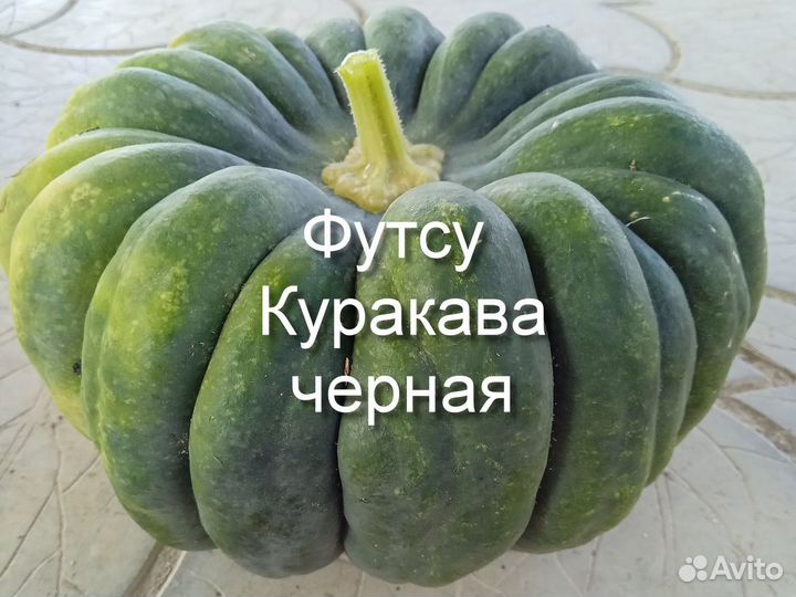 Тыква Футсу Курокава черная и розовая