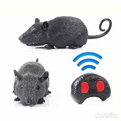 Крыса на радиоуправлении новая