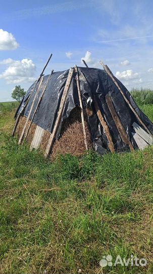 Продам сено