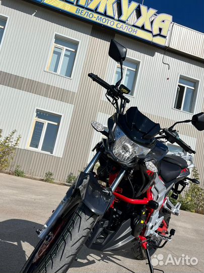 Regulmoto Raptor New