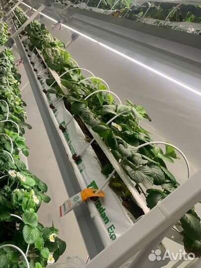 Светодиодный светильник 100Вт, MIX, 220В, 191см