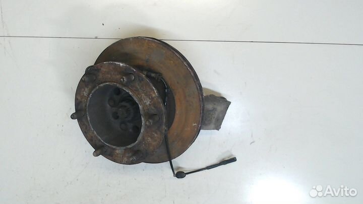 Ступица (кулак, цапфа) Ford Transit, 2003