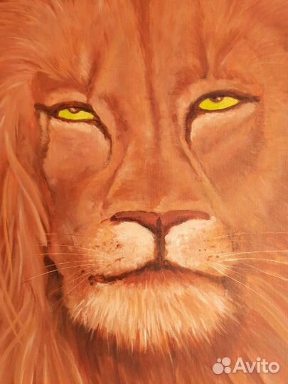 Лев маслом