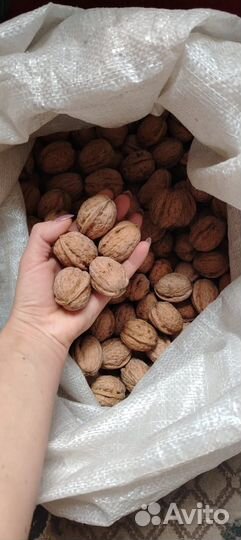 Продать грецкий орех