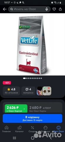 Корм для кошек