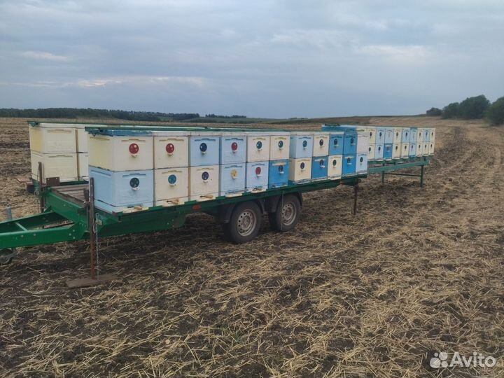 Пчелоприцеп легковой