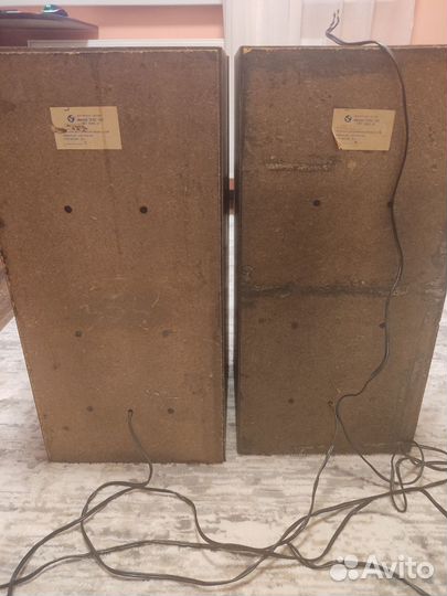 Акустическая система Вега 50-ас106