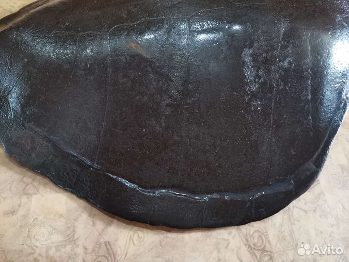 Панцирь черепахи