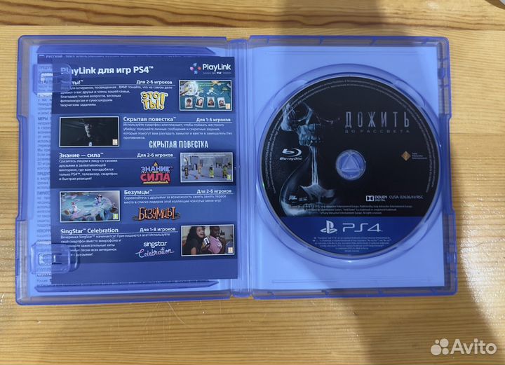 Дожить до рассвета