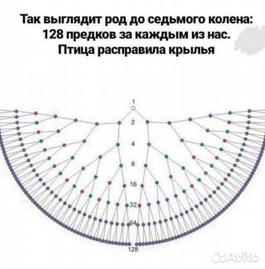 Психолог, мастер разборов
