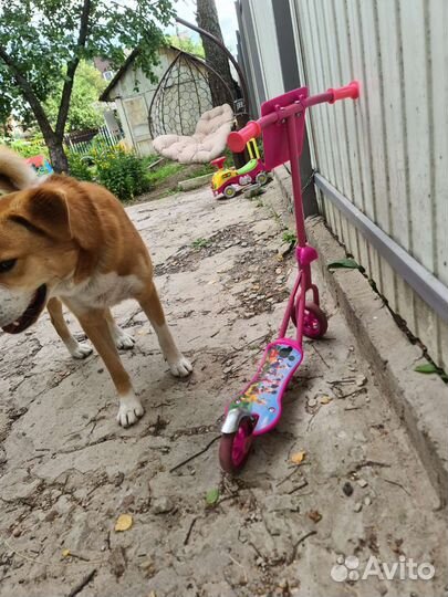 Самокат детский 