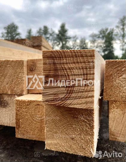 Куб бруса 100Х100Х6000 1-с. ест.в