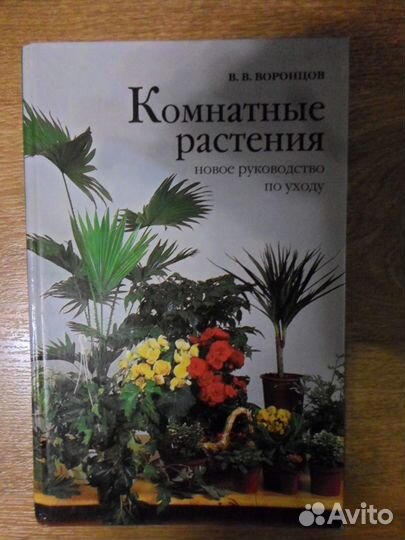 Тещин язык,золотой ус