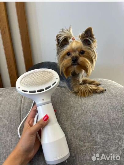 Фен для животных