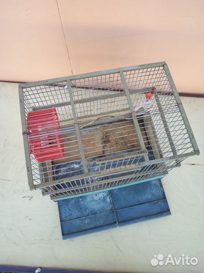 Клетка для грызунов