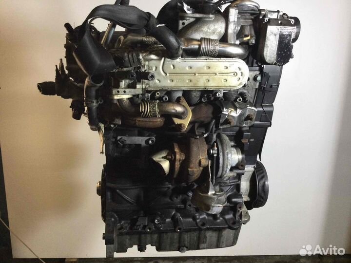 Двигатель Volkswagen Beetle 2006 BSW 1.9