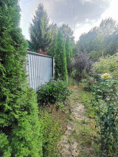 Дача 37 м² на участке 8,3 сот.