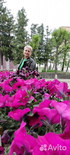 Администратор, сиделка, домработница, няня, упаков