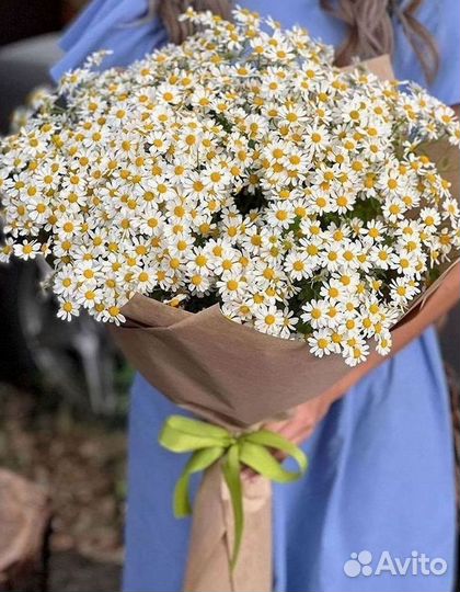 Букеты. Доставка ромашек