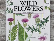 Книга ботанические иллюстрации Англия