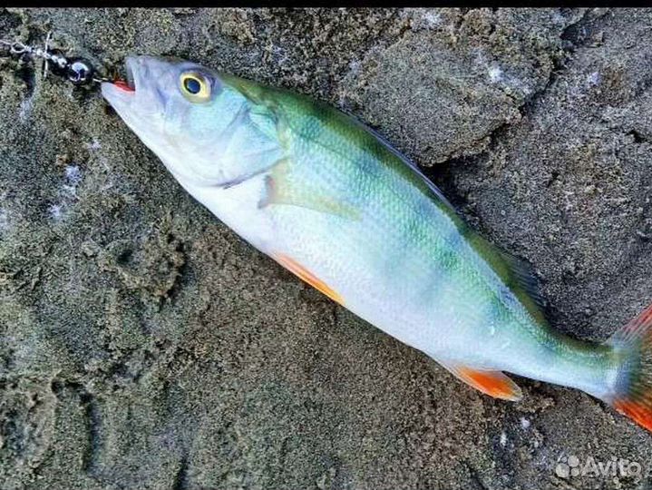 Набор блёсен-турбинок на ультралайт