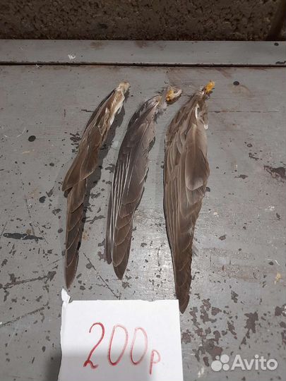 Игрушки для домашних животных