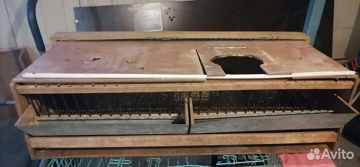 Клетки для перепелов бу