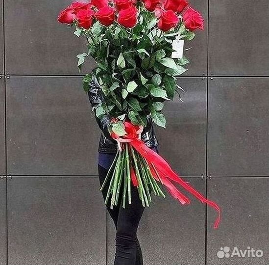 101 роза цветы букеты доставка 25 51 101 роза