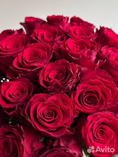 Розы красные 50см,доставка цветов