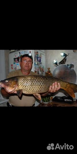 Леска плетёнка 300 метров