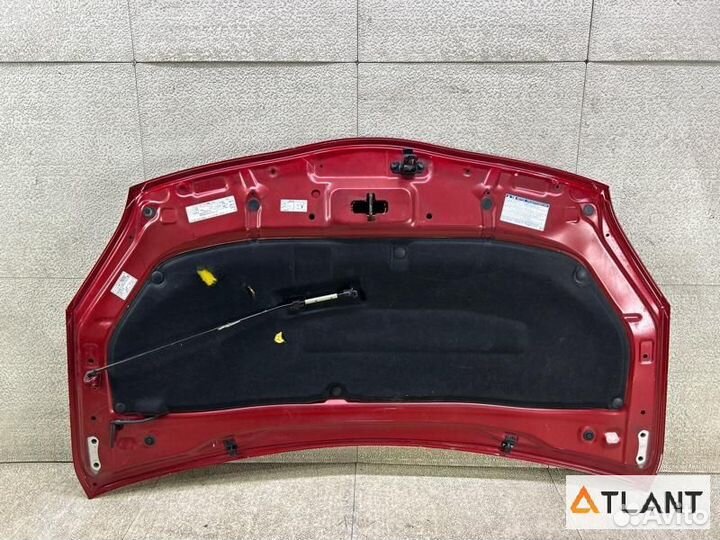 Капот toyota prius