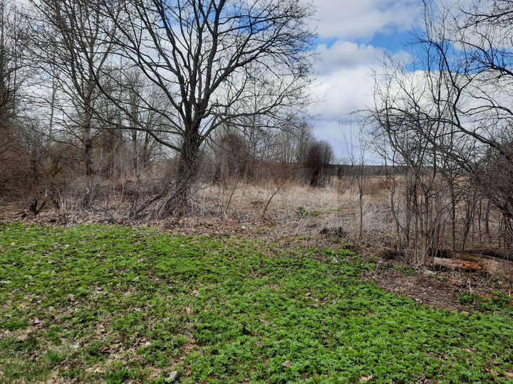 Участок 42 сот. (ИЖС)