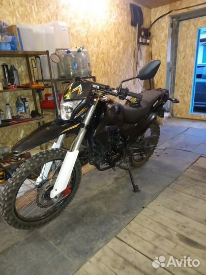 Avantis MT250