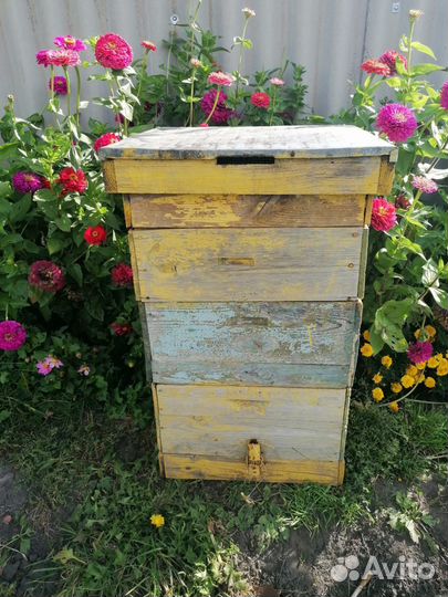Продам ульи для пчел, Тамбов