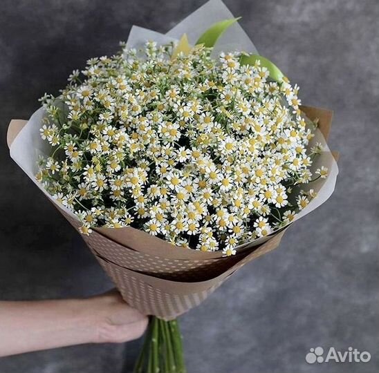 Ромашки Букет из ромашек доставка