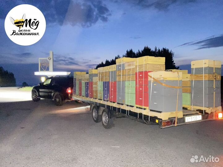 Мёд башкирский свежий. Собственная пасека