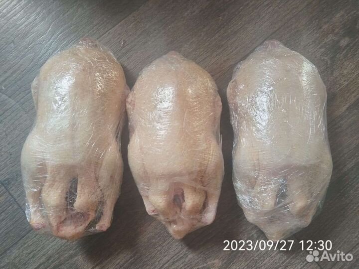Мясо уток муларда