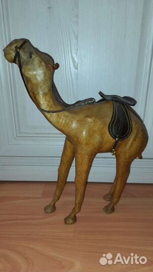 Корабли пустыни