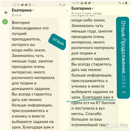 Учитель/репетитор по русскому языку