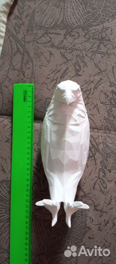 Ночник орёл