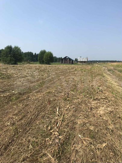 Участок 26 сот. (СНТ, ДНП)