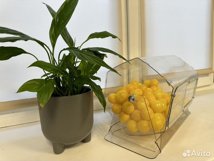 Лототрон аренда