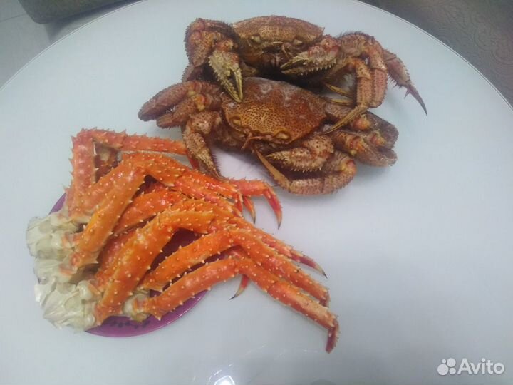 Краб Волосатик